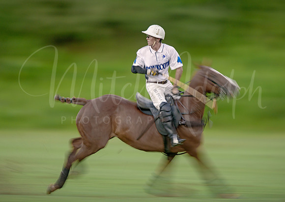 Polo (Sweep)