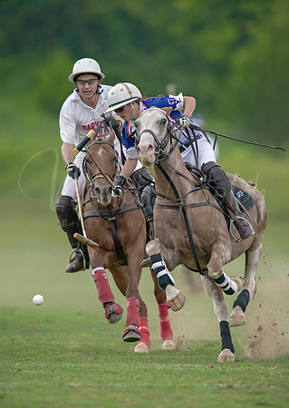 Polo:  Chasing the Ball