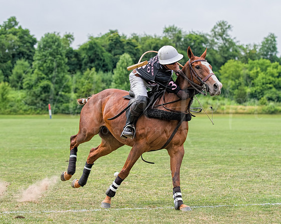Polo:  Double Neck Shot