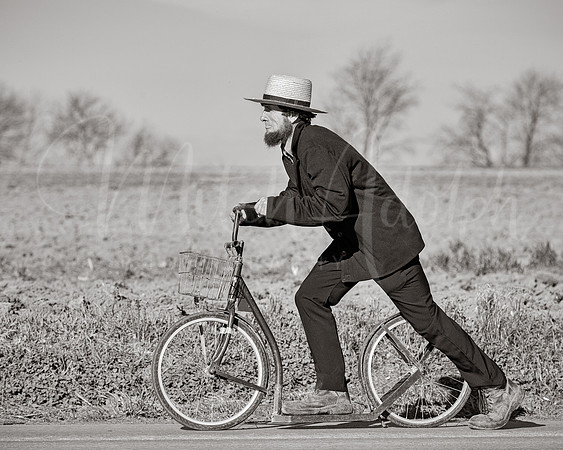 Amish Man on bike