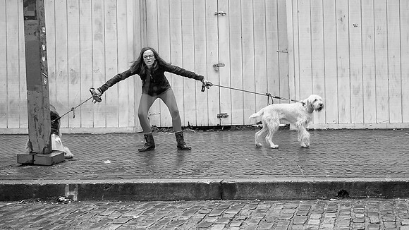 Walking the Dogs