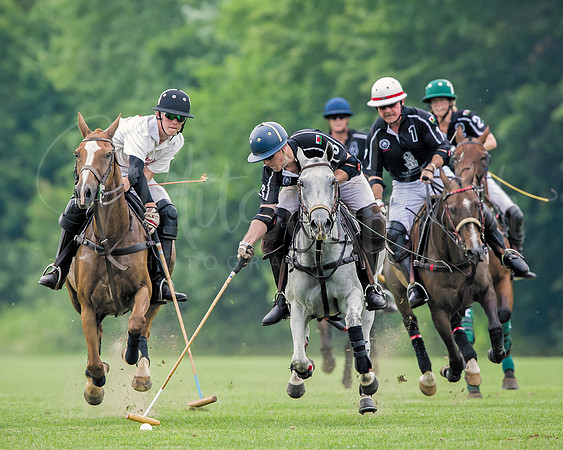 Polo:  Chasing the Ball