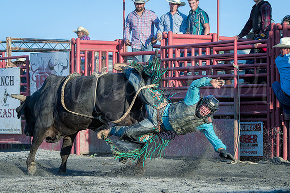Rodeo:  Thrown Off the Bull