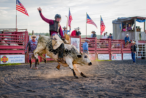 Bull Riding